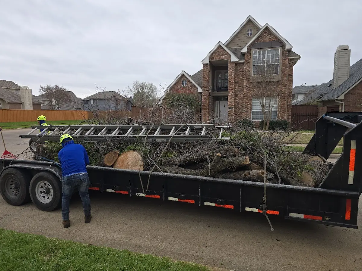Expert Tree Fertilization with proper safety equipment in Linn Grove